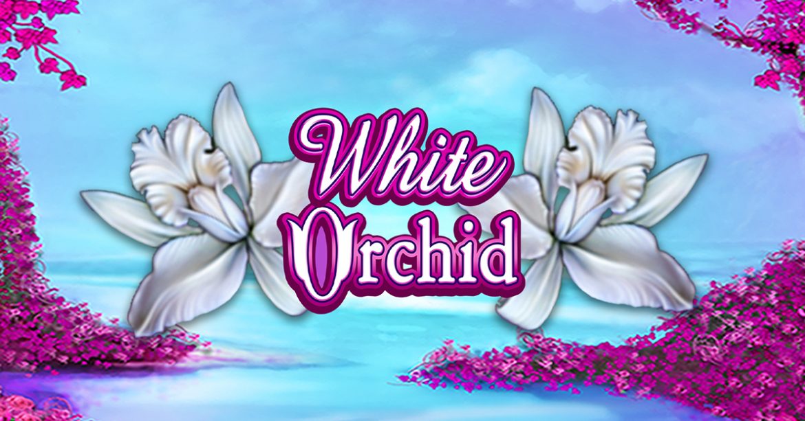“White Orchid Slot ยอดหมุนเวียนถอน fun88” มีลูกเล่นทั้งหมด 1024 แบบ!