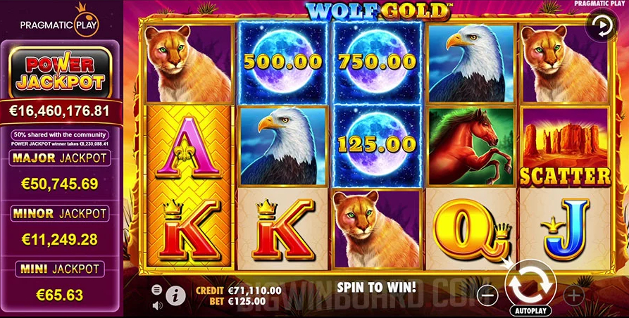 Wolf Gold 1